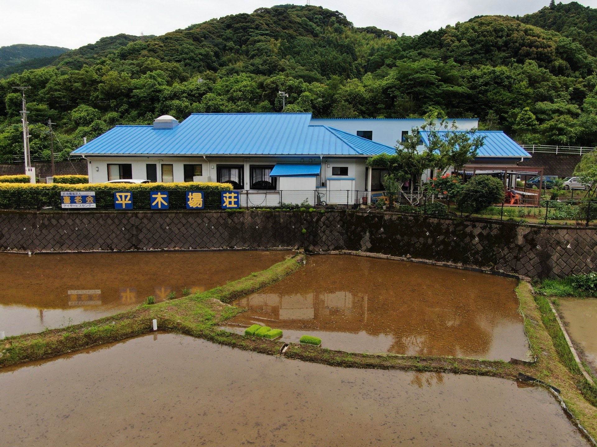 水田の鏡に映る平木場荘