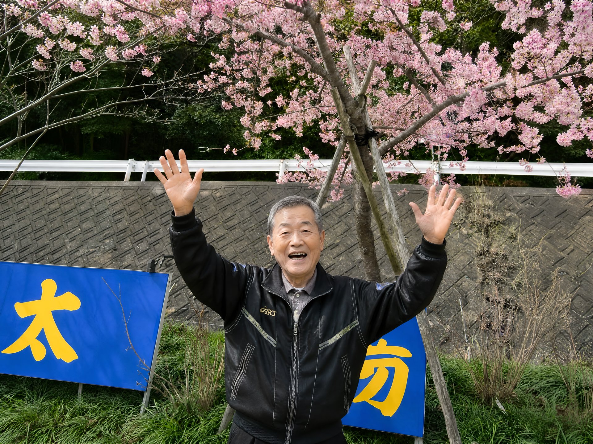 桜の下で