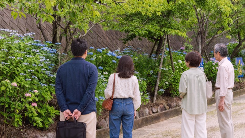 あじさい鑑賞会。色とりどりの紫陽花の小道を歩く
