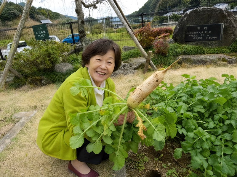 農園での野菜の収穫